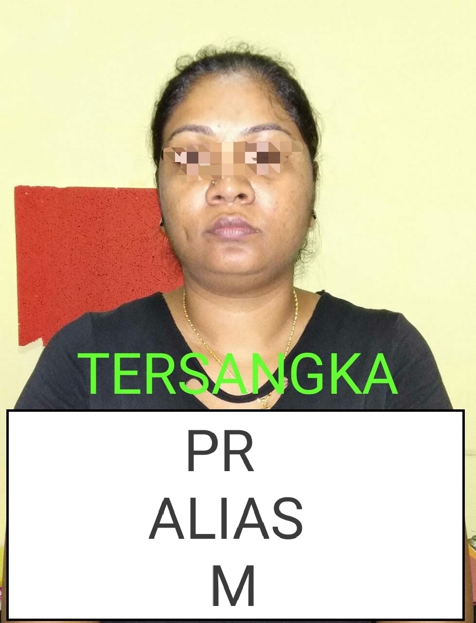 Polda Kepri Tangkap Warga Malaysia Perekrut TKI Ilegal