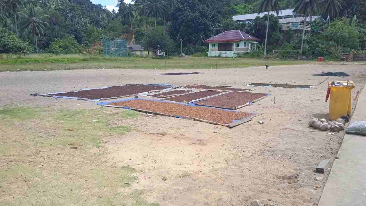 Kades Matak Hentikan Sementara Aktivitas Pembangunan Lapangan Bola dan TPA