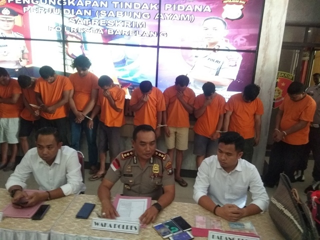 Polisi Ringkus 11 Penjudi Sabung Ayam di Kibing