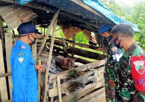 Lanud Hang Nadim bersama Ditpam Kembali Patroli Tertibkan KKOP, Petugas Temukan Ini
