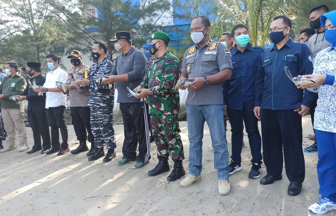 Jelang HUT Pomal, Lanal Tarempa Lestarikan Satwa Laut