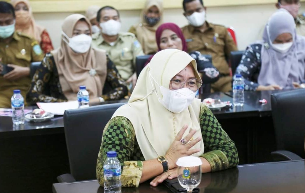 Ketua DPRD Dukung Pemkab Anambas Pro Investasi