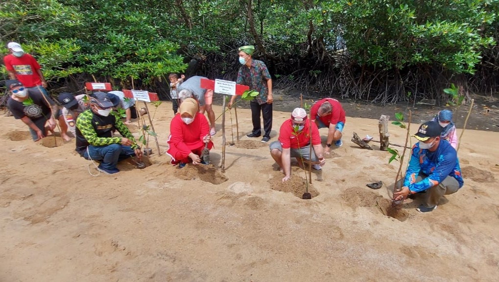 Mendukung Pengembangan Ekowisata, Marlin Agustina Bersama Expatriat Tanam Pohon Mangrove di Kampung Tua Bakau Serip