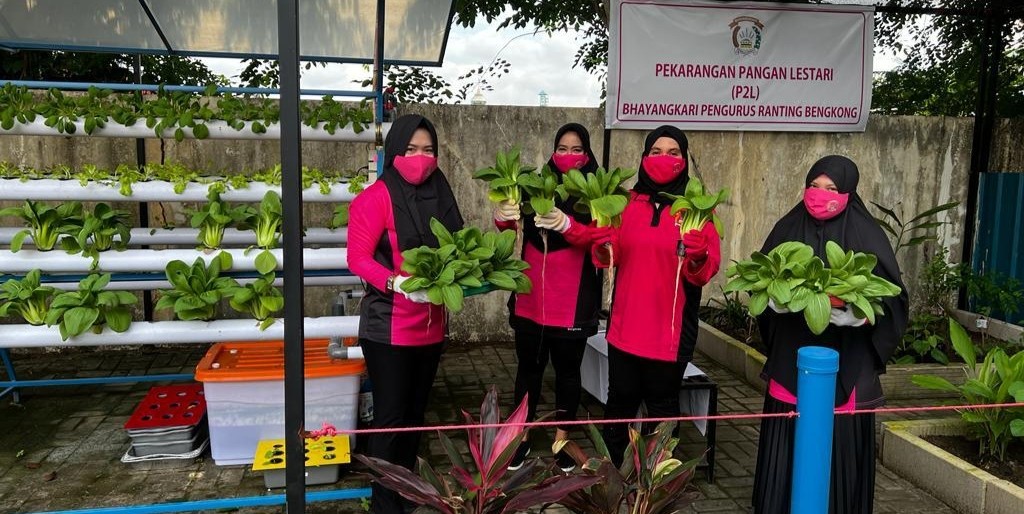 Bhayangkari Ranting Bengkong Panen 12 Kilogram Sayur Pakcoy Hidroponik di Kebun P2L