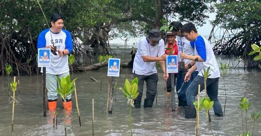 Melihat ACC Nyebur Tanam Seribu Mangrove di Ekowisata Pandang Tak Jemu Batam