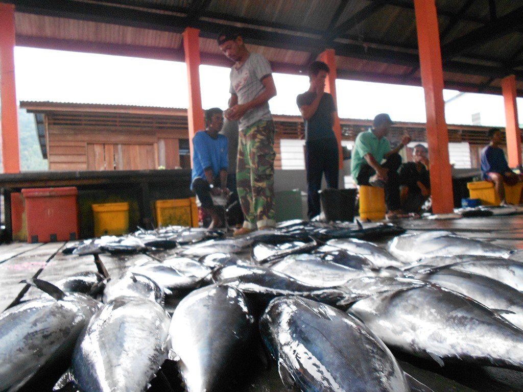 Nelayan Tradisional Anambas Masih Bertahan Gunakan Pancing Ulur Demi Masa Depan Anak Cucu