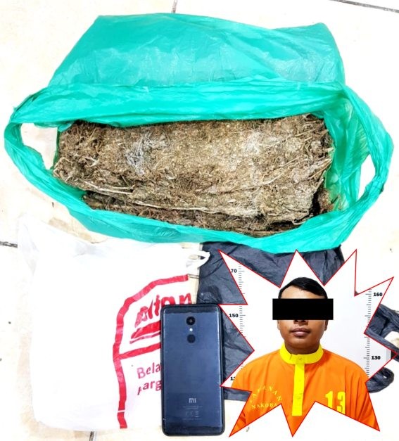 Dit Resnarkoba Polda Kepri Tangkap Penjual Ganja